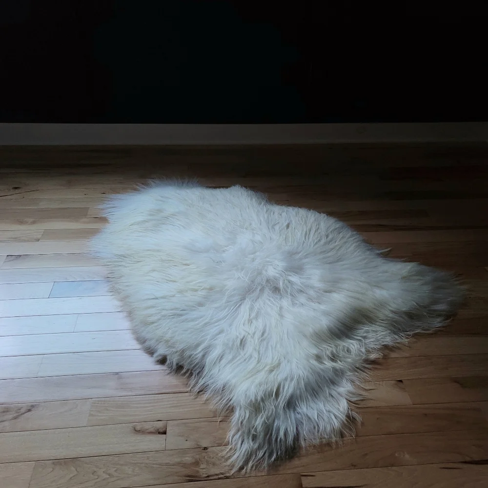Enormous Icelandic Sheepskin Hides – Limited Availability - Picture 4 of 13